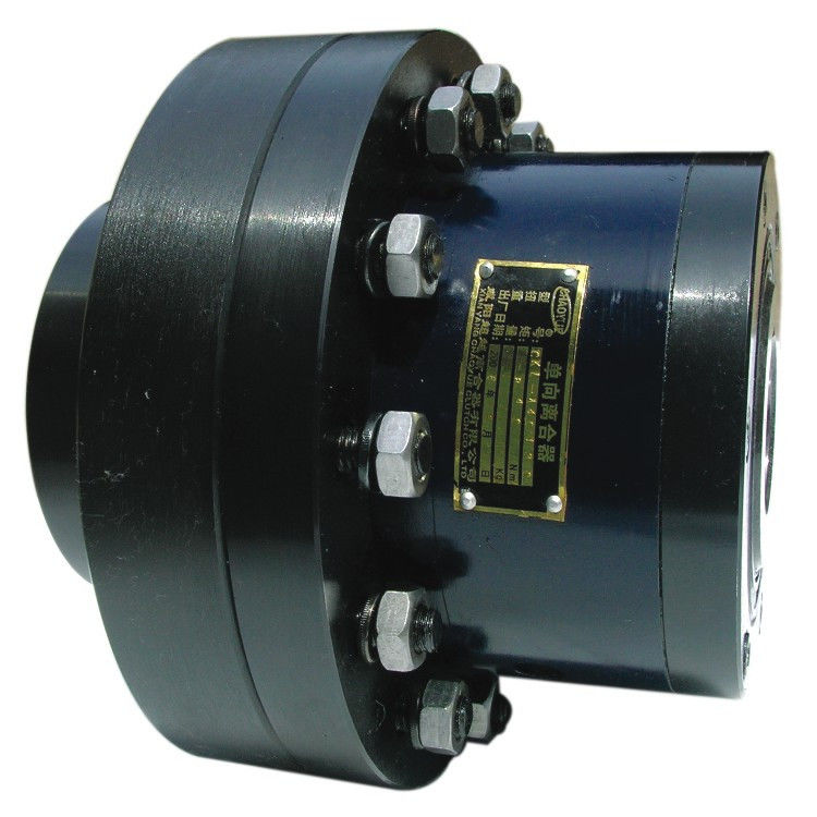 Sprag Type 13000N.M 95mm Diameter High Torque Starter Overrunning Clutch